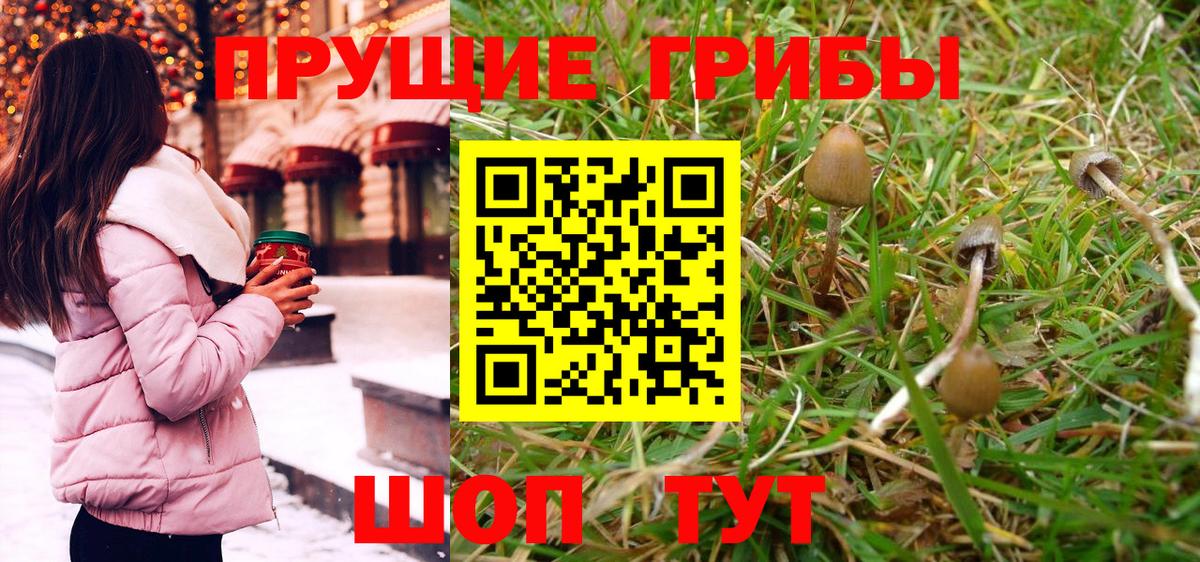 Вятские Поляны  Галлюциногенные грибы MAGIC MUSHROOMS  Вход с VPN 