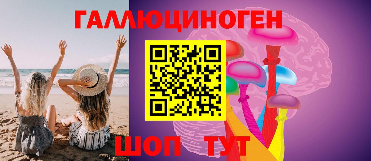 Галлюциногенные грибы Psilocybe Вятские Поляны
